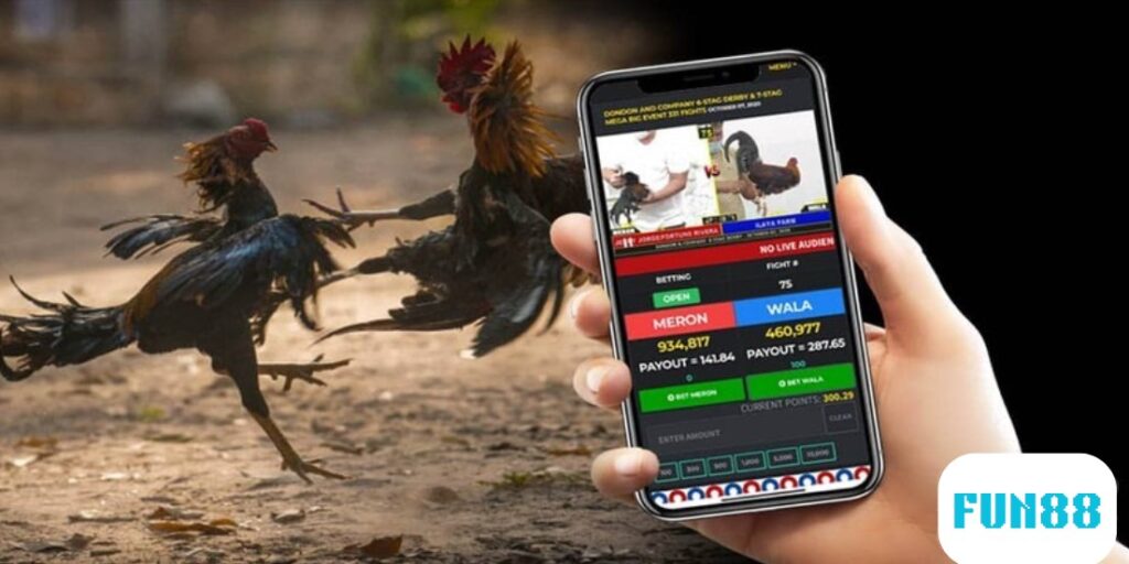 Đá Gà Mạng Fun88: Những Điều Cần Biết Về Thể Thao Kịch Tính 1 da ga mang 1